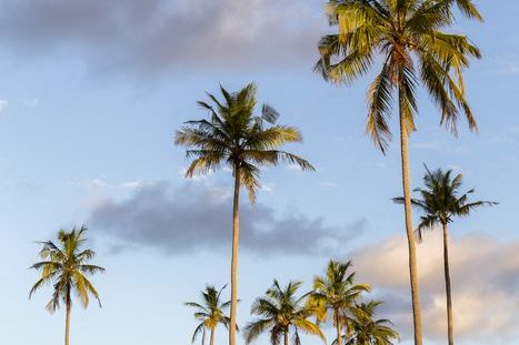 ile d’ibo au mozambique en afrique voyage an afrique à Ibo