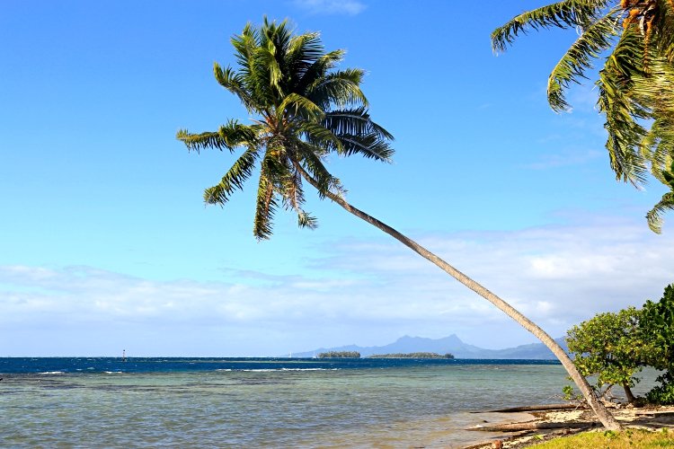 tun und sehen auf der Insel Tahaa tun und sehen auf der insel tahaa