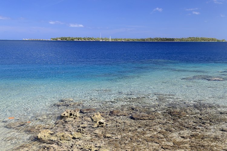 machen und sehen auf der Insel Tahaa machen und sehen auf der insel tahaa