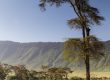 safari im ngorongoro-krater