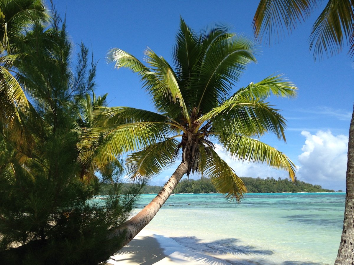 isla de Moorea isla de Moorea