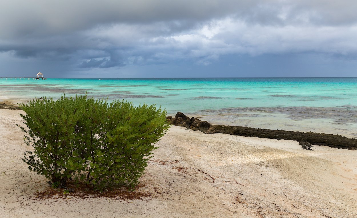 Ir a vivir a Tahiti Ir a vivir a Tahiti