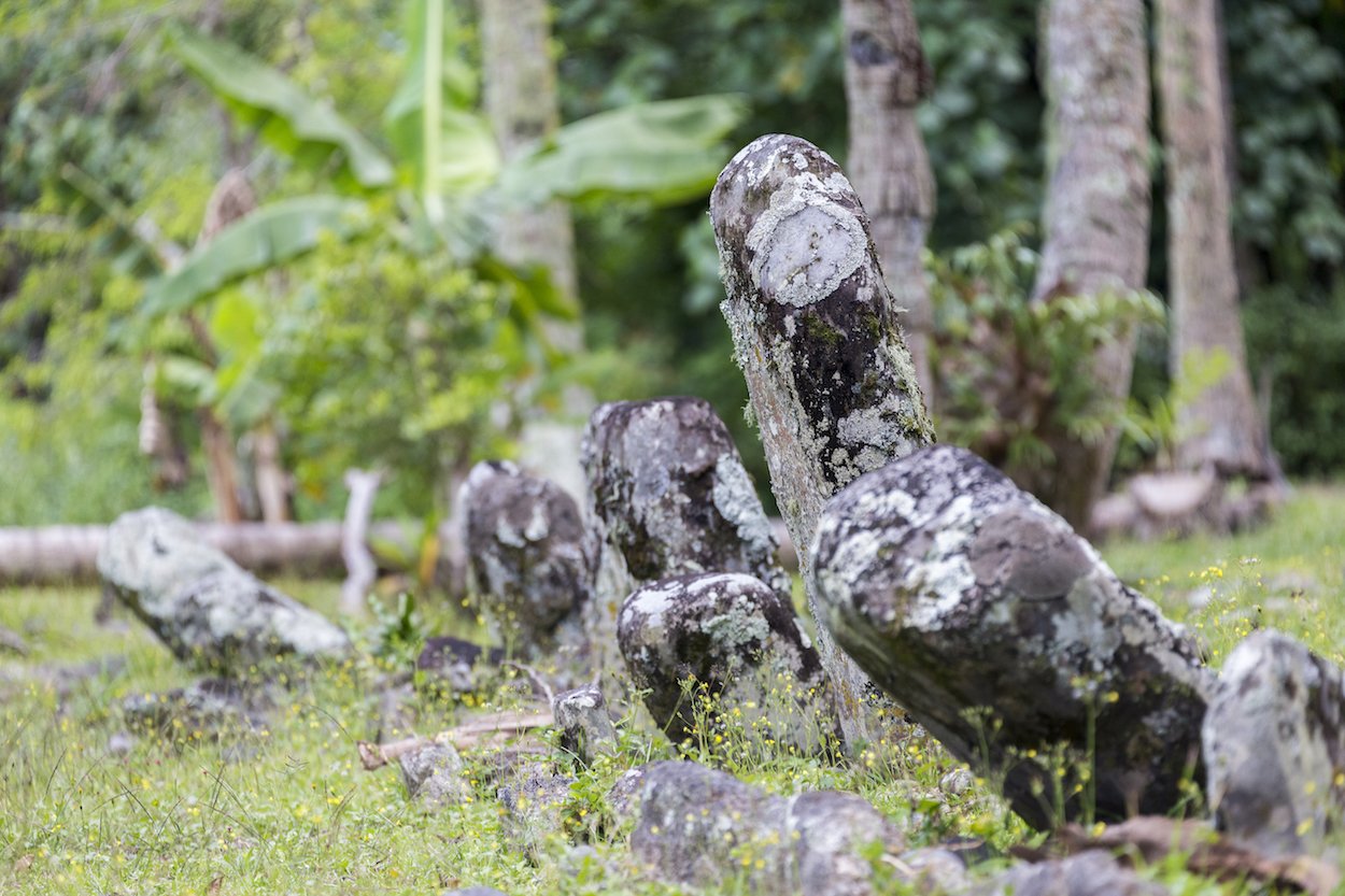 auf der Insel Rurutu tun auf der insel rurutu tun