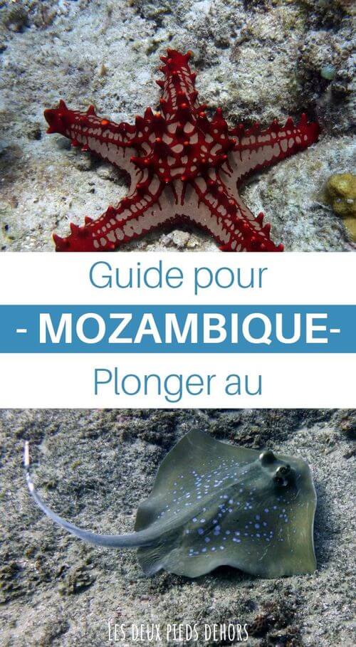 guide pour plonger au mozambique