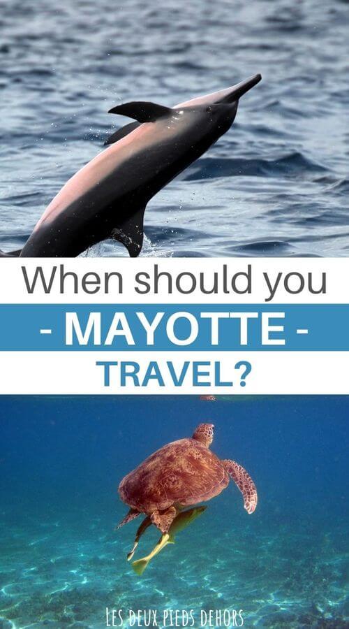 When to go on vacation to Mayotte when to go to mayotte to see animals?