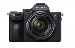 mirrorless camera example example of a sony mirrorless camera