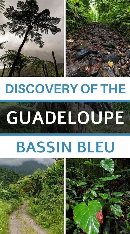 Discover the Guadeloupe blue basin