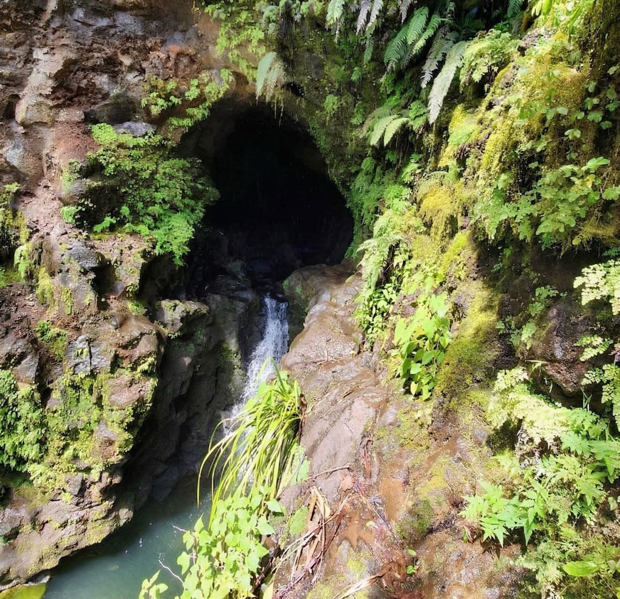 canyoning lava tube tahiti canyoning lava tube tahiti