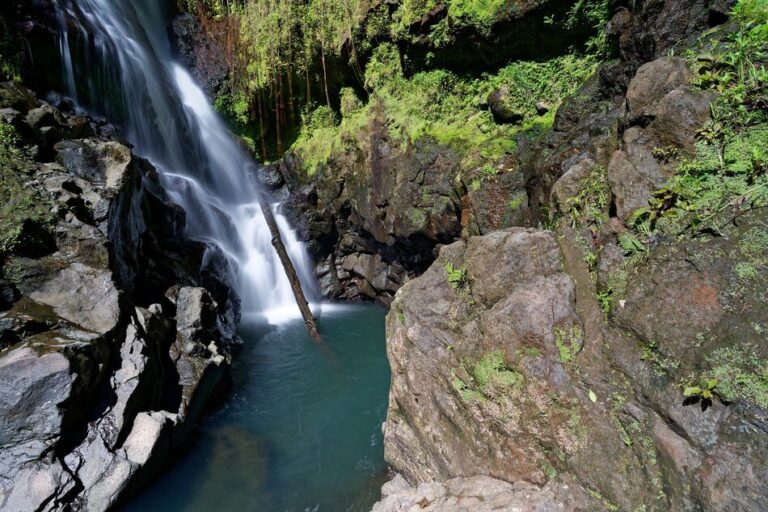 saut du bras du fort waterfall hiking saut du bras du fort goyave