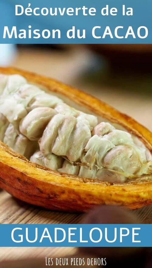 découvrir la maison du cacao