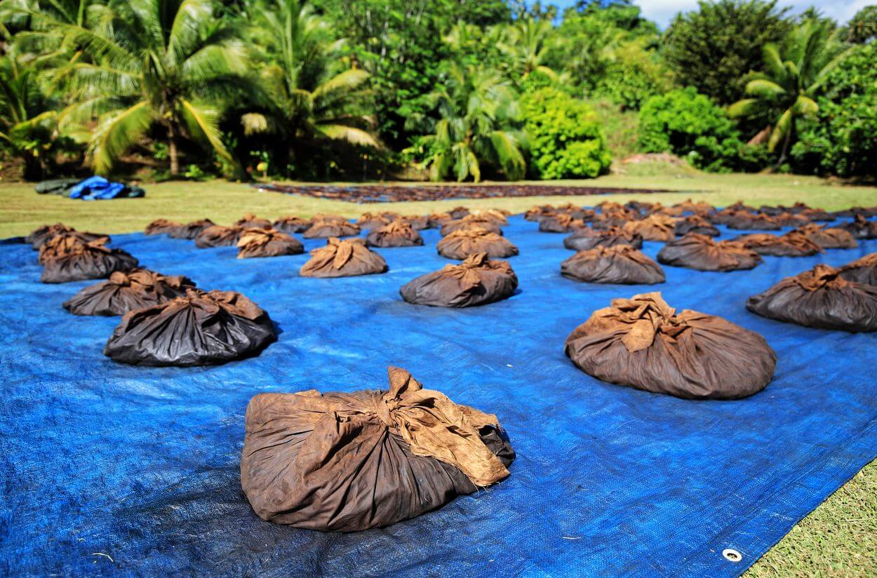 sacs de vanille de tahiti