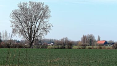paysage Panasonic 42.5mm f1.7