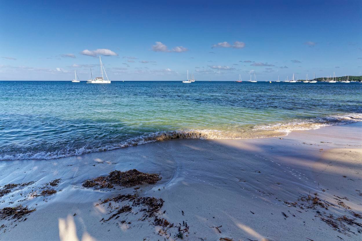 folle anse beach in marie galante