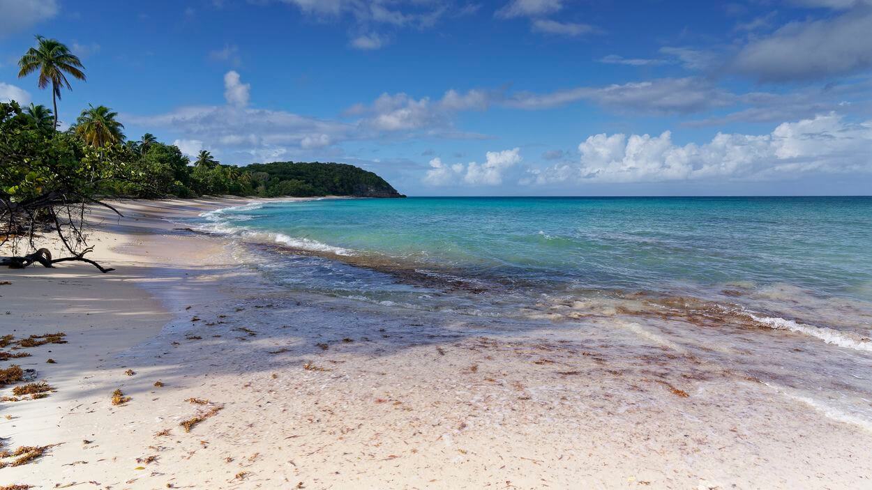 vieux fort beach in marie galante