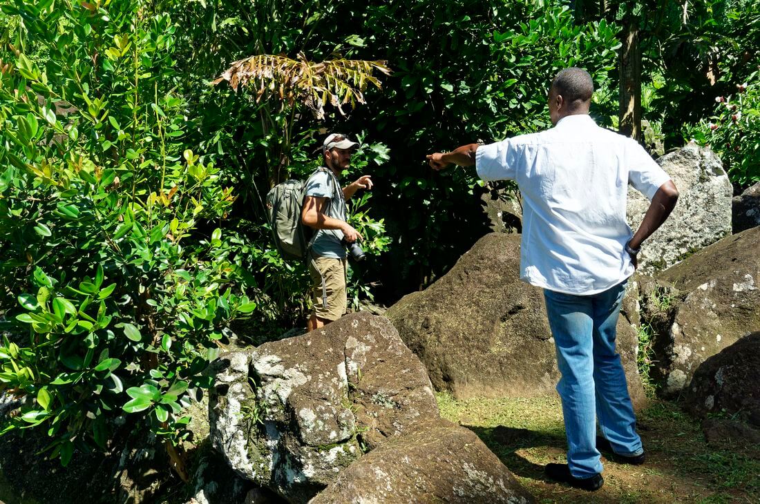 guide of guadeloupe visit the parc des roches gravées with a guide