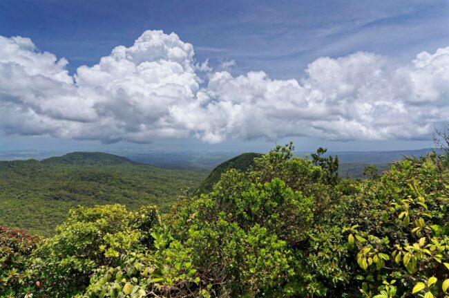 Hike in the park of mamelles