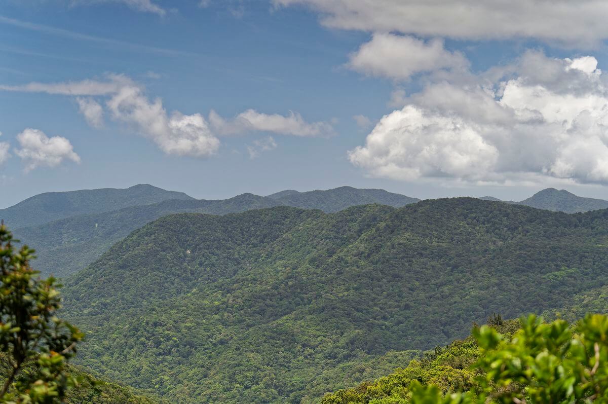 route des mamelles guadeloupe parc national de guadeloupe