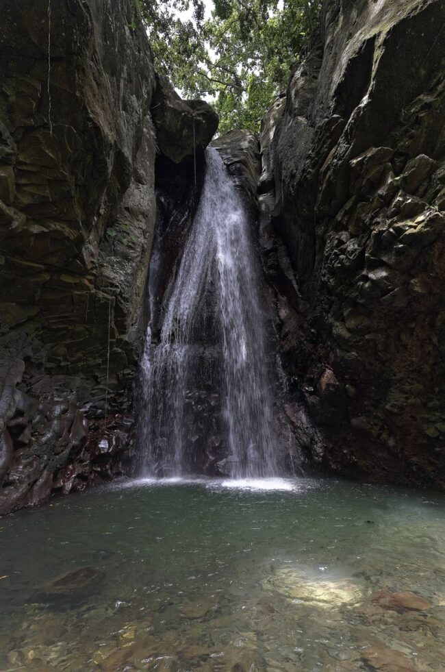 visite parc de la source