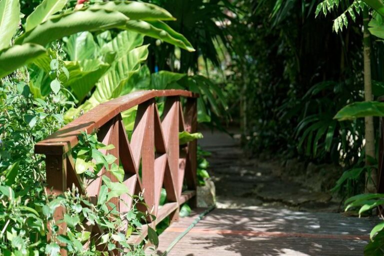Petit pont dans le jardin petit pont Andromeda