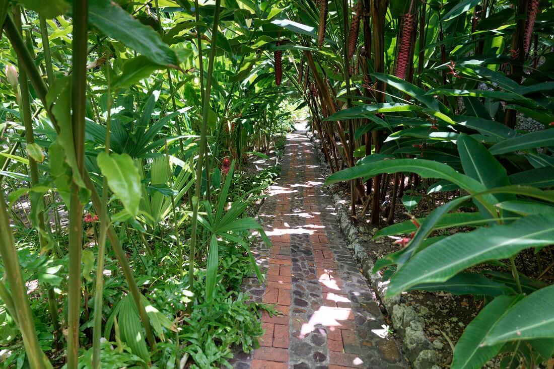 Gartenweg spaziergang im andromeda-garten
