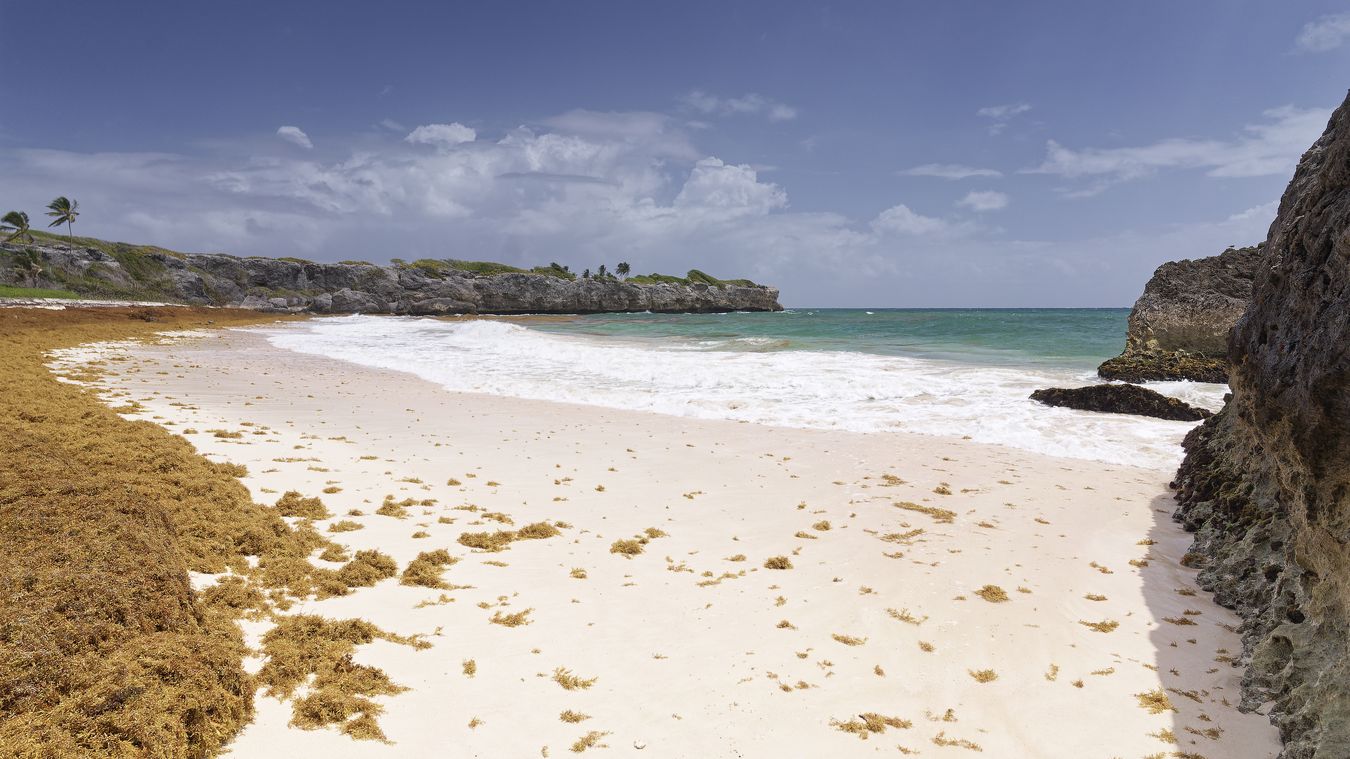 einsamer Strand auf Barbados einsamer Strand auf Barbados