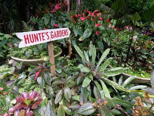 besuch des wunderschönen hunte's garden