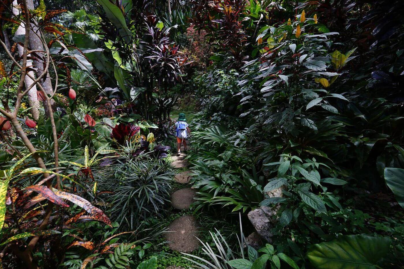 Hunte's Garden Barbados besuch im garten von hunte's barbados