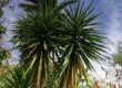 fauna und flora im Flower Forest Garden