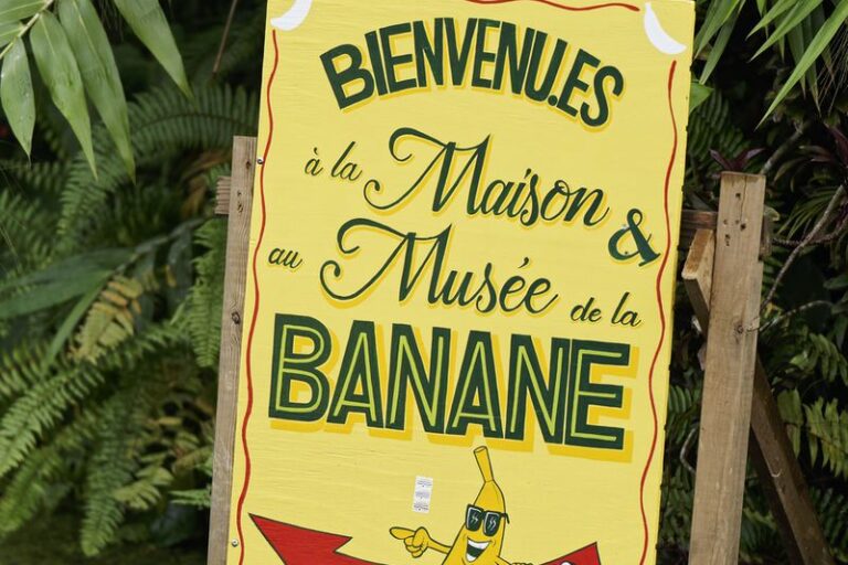entrance panel Maison de la banane street art at maison de la banane
