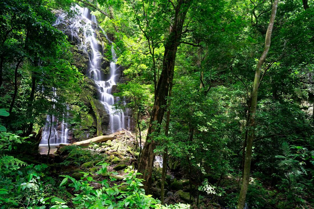 wasserfall Rincon de la vieja wasserfall im nationalpark rincon de la vieja