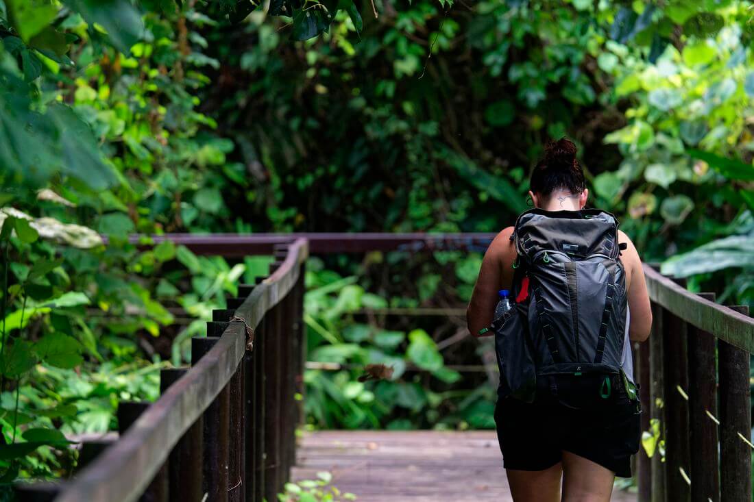 Spaziergang in den Nationalparks urwald von costa rica