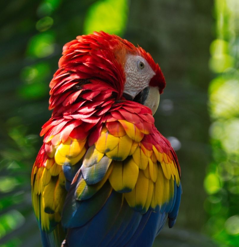 explore costa rica