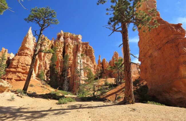 bryce canyon paysages