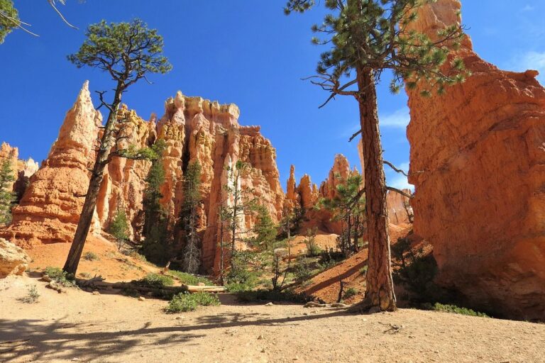 parc national de bryce canyon bryce canyon paysages