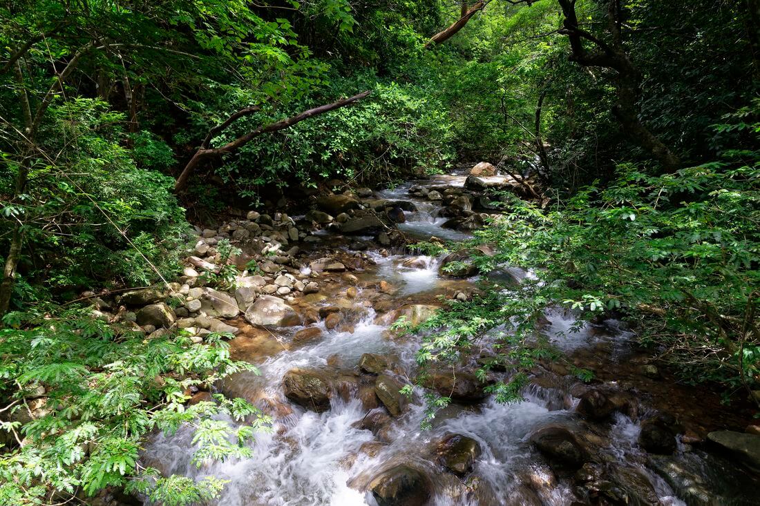 Fluss rincon de la vieja flüsse costa ricas
