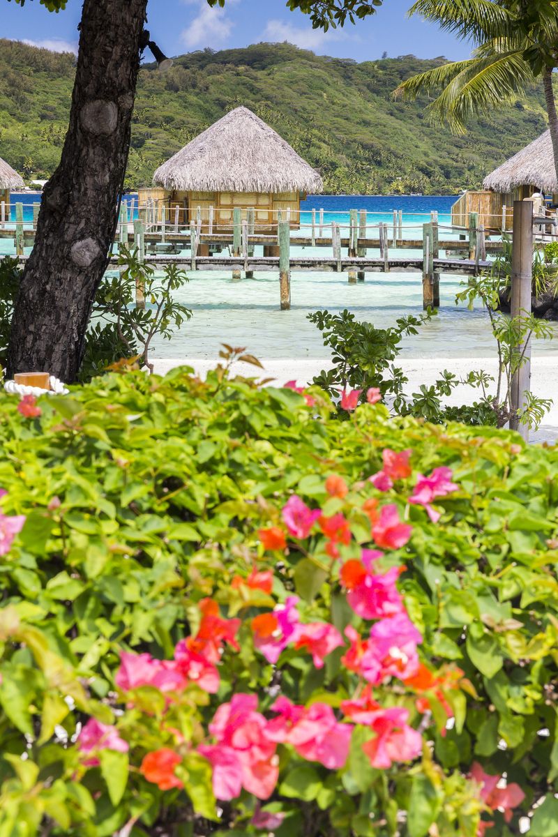 Hotel Bora Bora by Pearl Resorts hotel Bora Bora by Pearl Resorts
