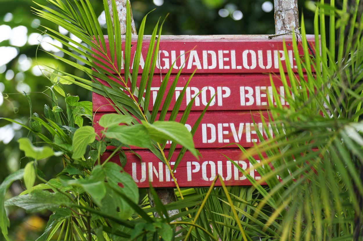 bilan 2023 les deux pieds dehors