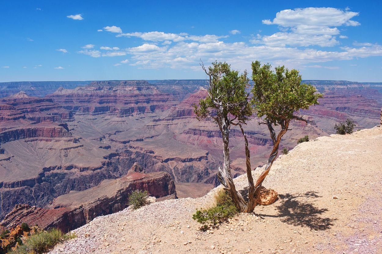 grand canyon point of view grand canyon view