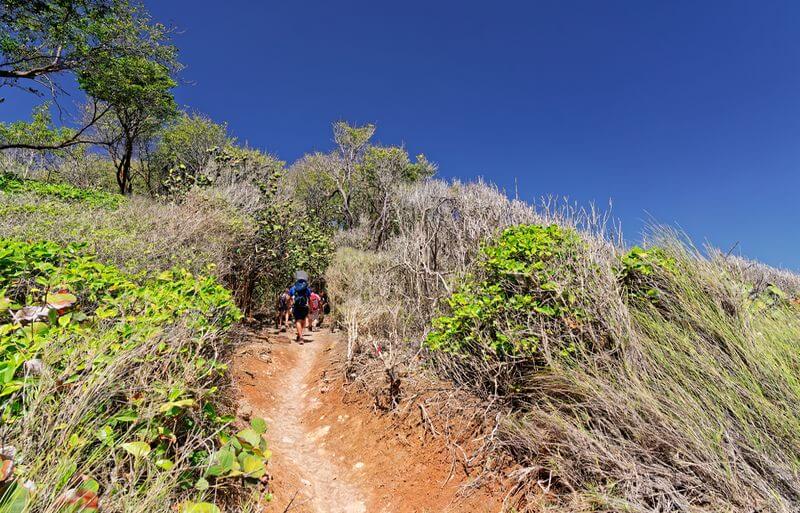 Grande Terre in guadeloupe Littoral of Ste Rose