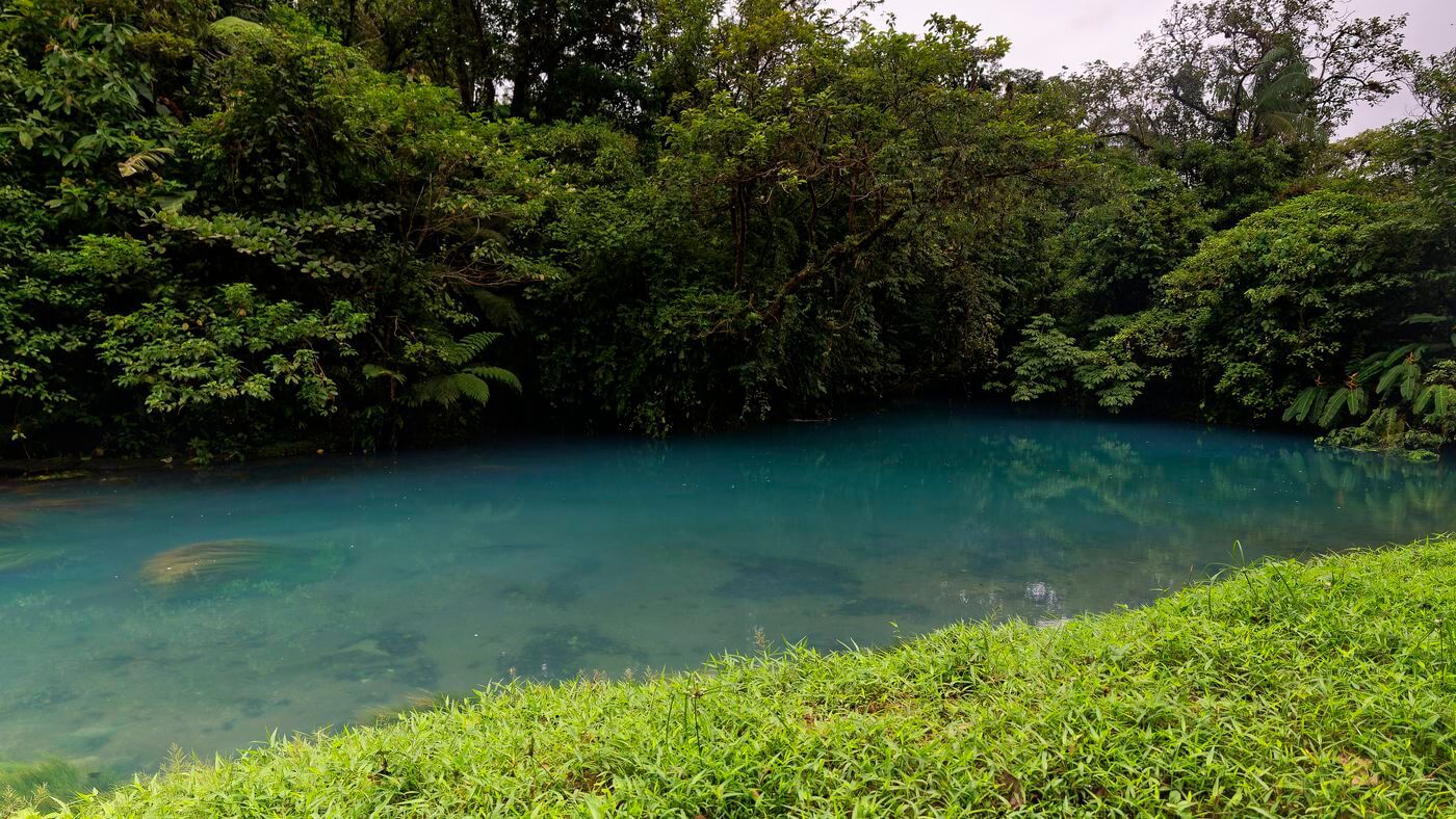 Fluss in Costa Rica fluss im nationalpark tenorio