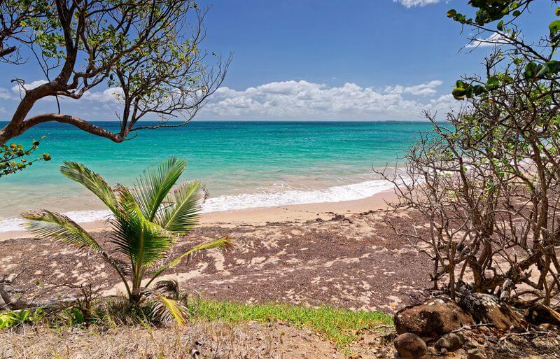 Ste Rose beach Ste Rose beach