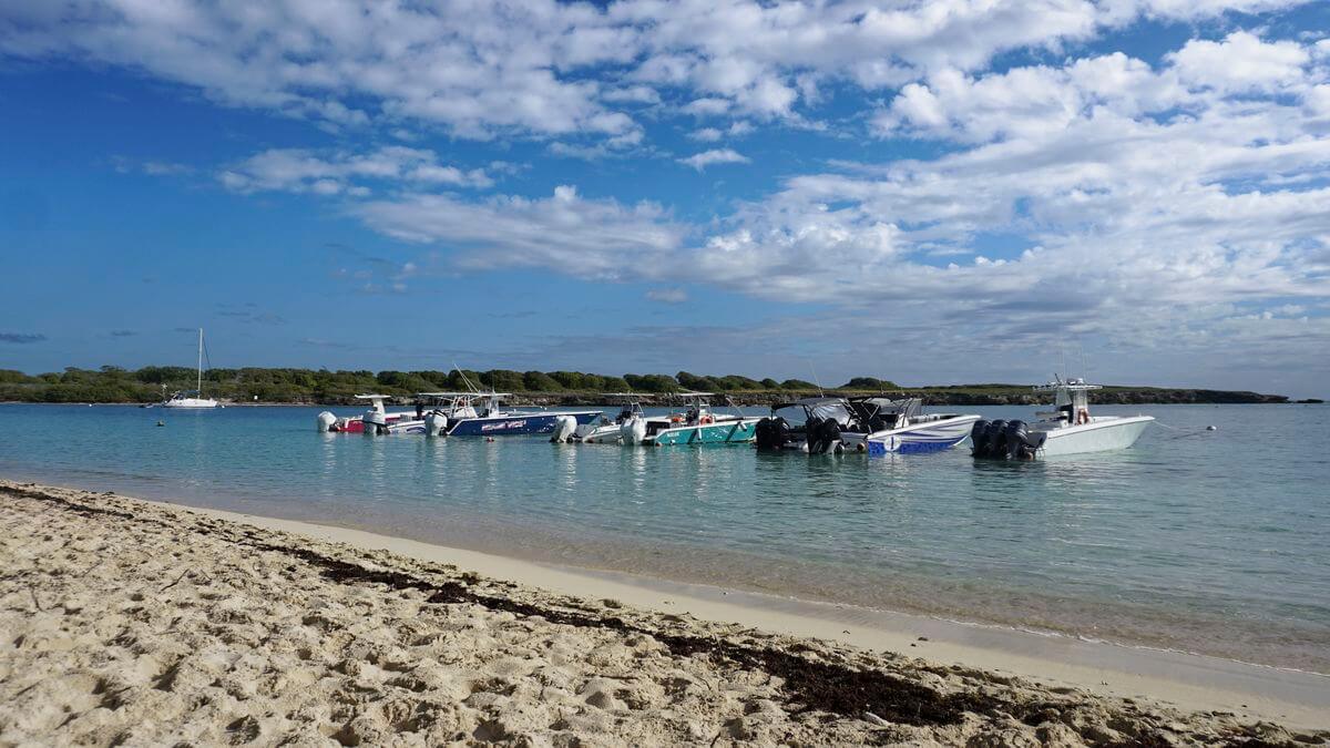 petite-terre beach beach on petite-terre islands