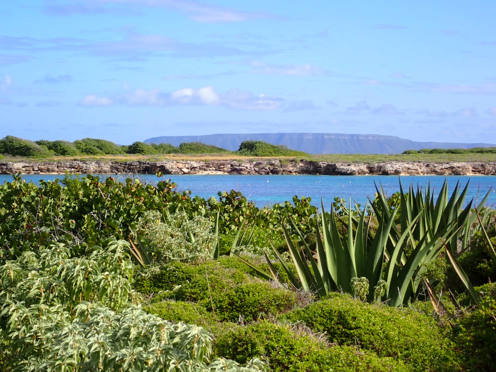 nature on petite terre
