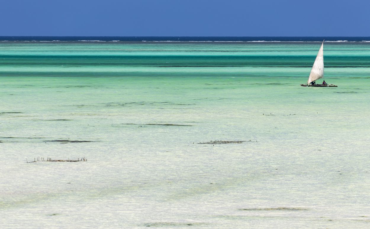 voyage à zanzibar voyager à zanzibar
