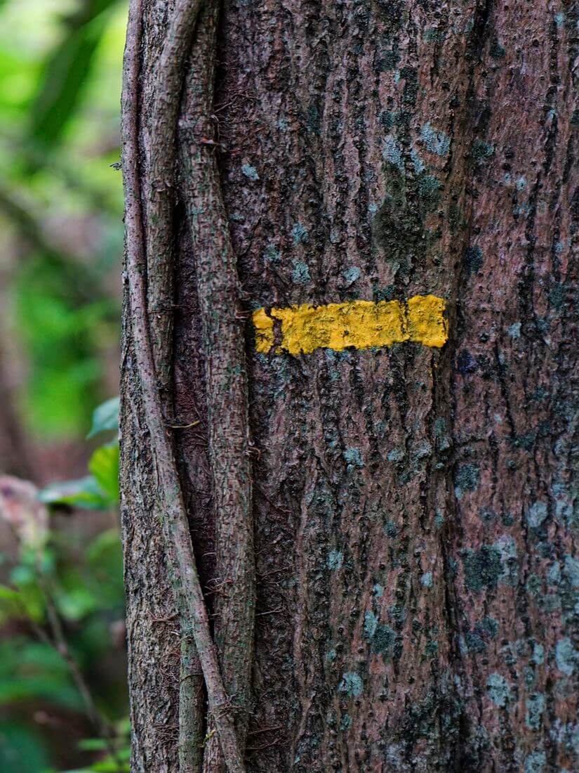 hiking signposting clear signs, safe path, natural Guadeloupe