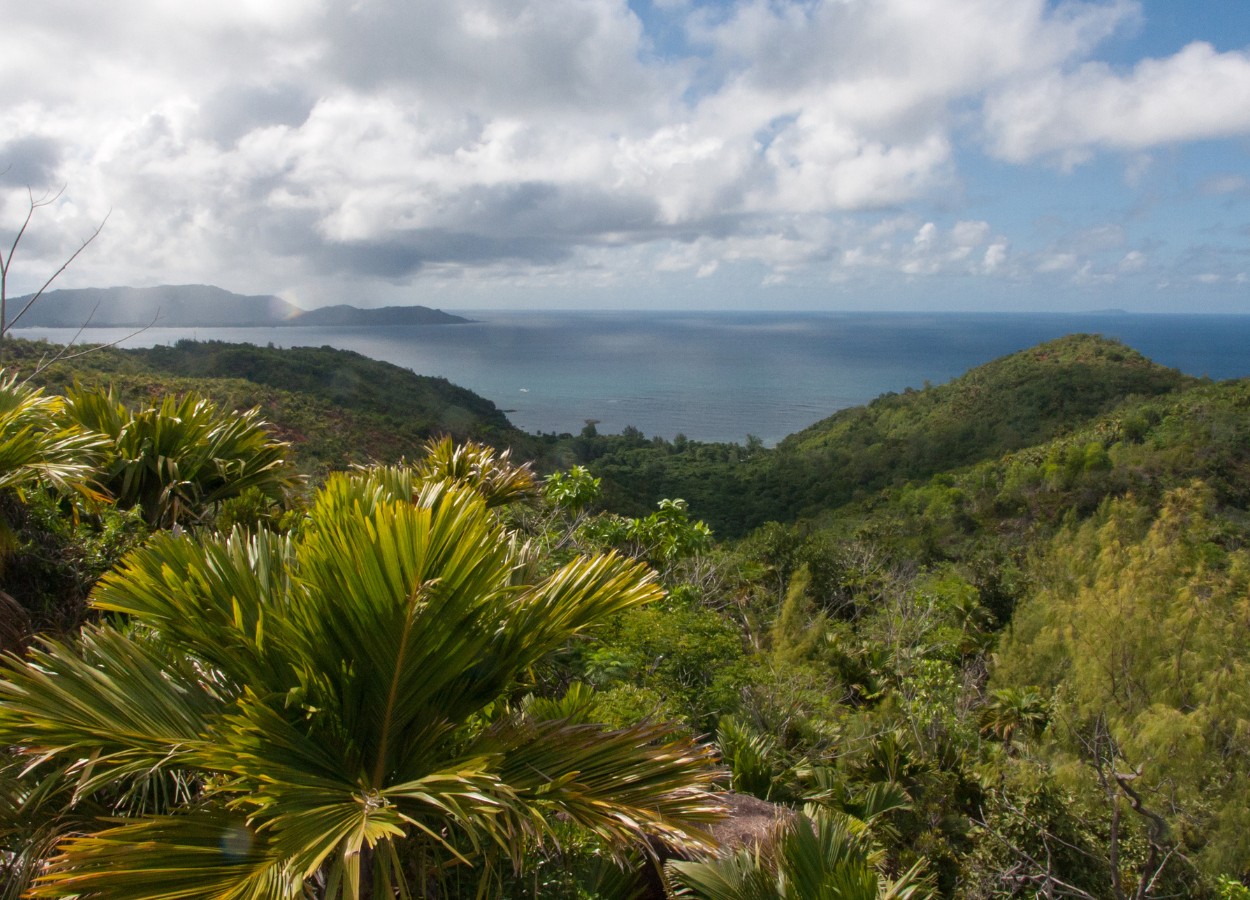 landschaften auf der insel praslin landschaften praslin