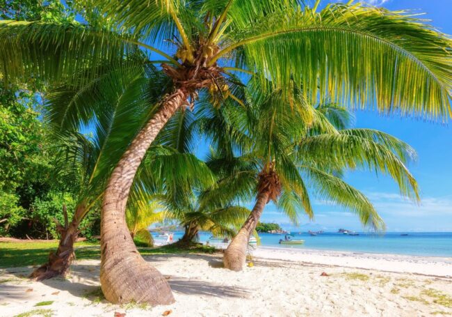 quand aller aux seychelles saison aux seychelles