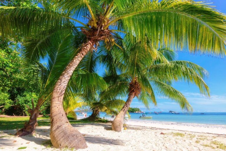 quand aller aux seychelles saison aux seychelles