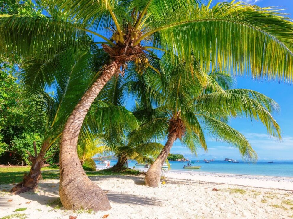wann man auf die Seychellen reist saison auf den seychellen