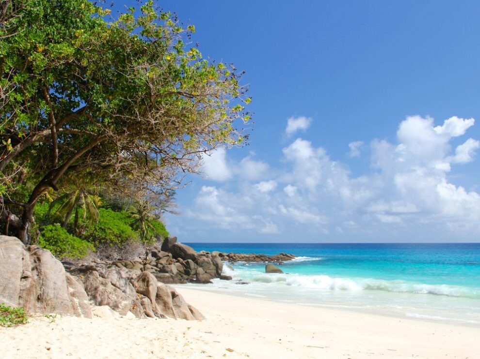 was man auf einer Reise auf den Seychellen tun kann was tun bei einem aufenthalt auf den seychellen